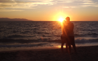 Selvara Signature Collection Reviews Day Trips to Puerto Vallarta